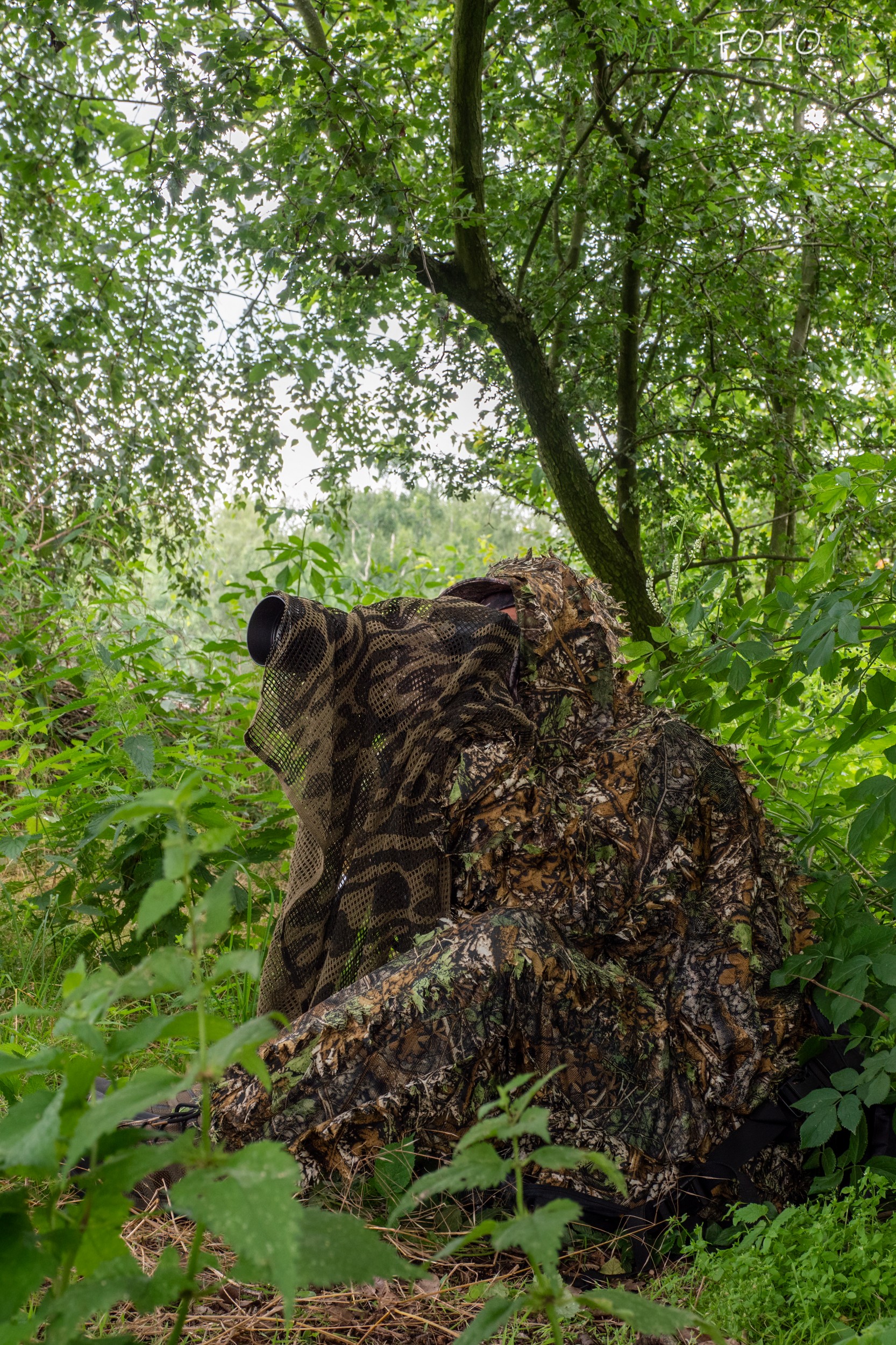 Wildtierfotografie: Sicher im Umgang mit Kamera und Objektiv