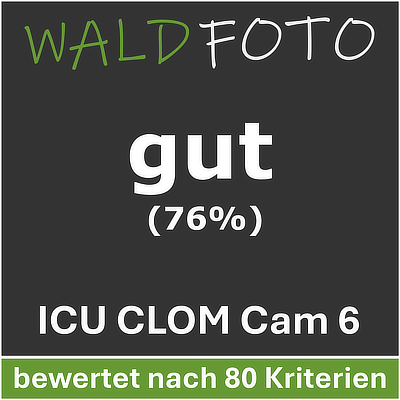 Waldfoto-Testlabel der ICU CLOM Cam 6