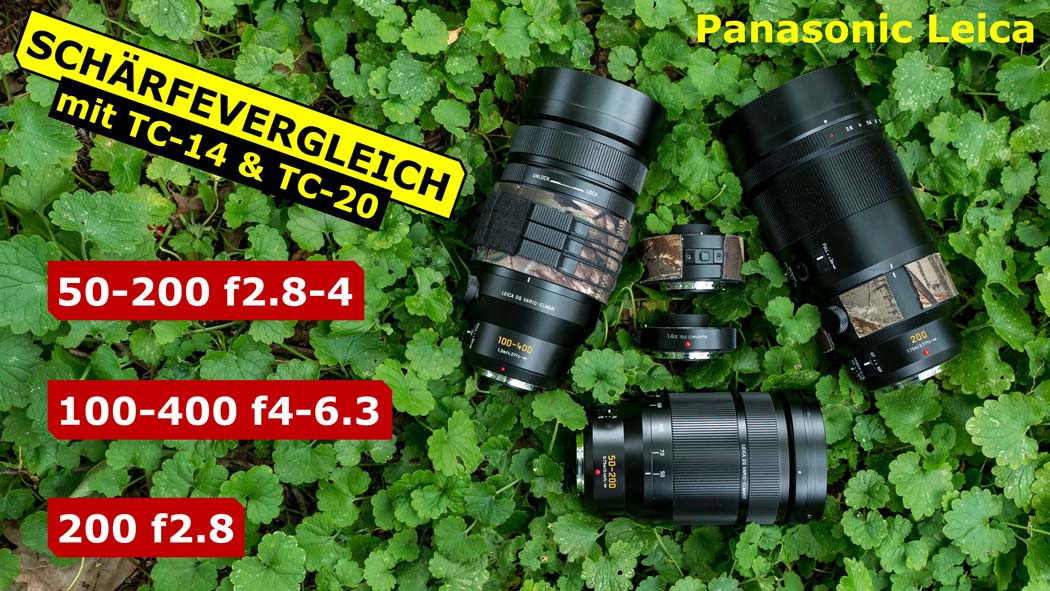 Panasonic Leica Vergleichstest der Teleobjektive für die Wildtierfotografie, 50-200 f2.8-4, 100-400 f4-6.3 und 200 f2.8